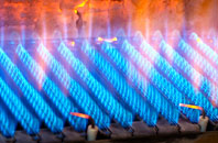 Leegomery gas fired boilers